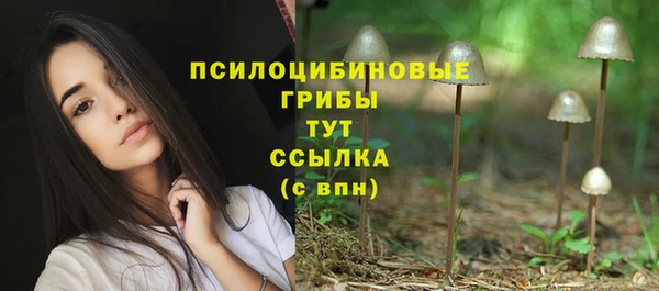первитин Арсеньев