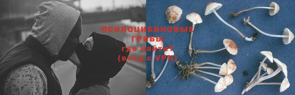 первитин Арсеньев