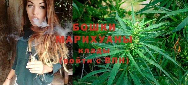 первитин Арсеньев